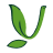 Хватило лого